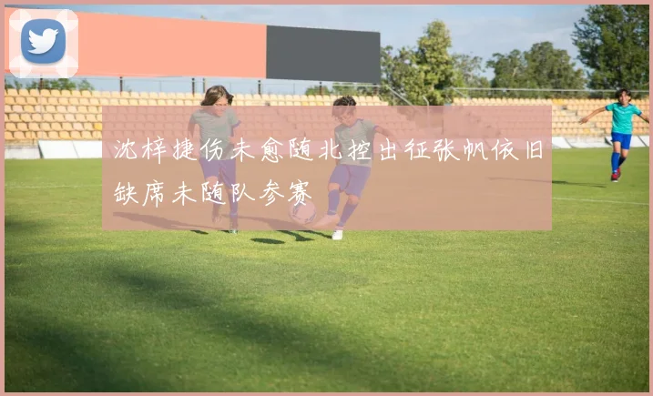 沈梓捷伤未愈随北控出征张帆依旧缺席未随队参赛