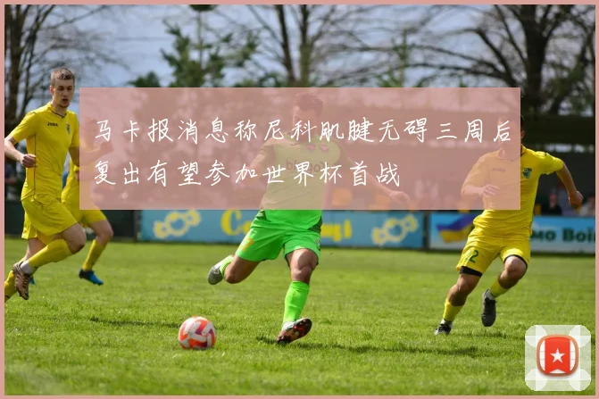 马卡报消息称尼科肌腱无碍三周后复出有望参加世界杯首战